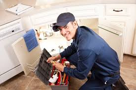 Best Residential Plumbing Services  in Glencoe, IL